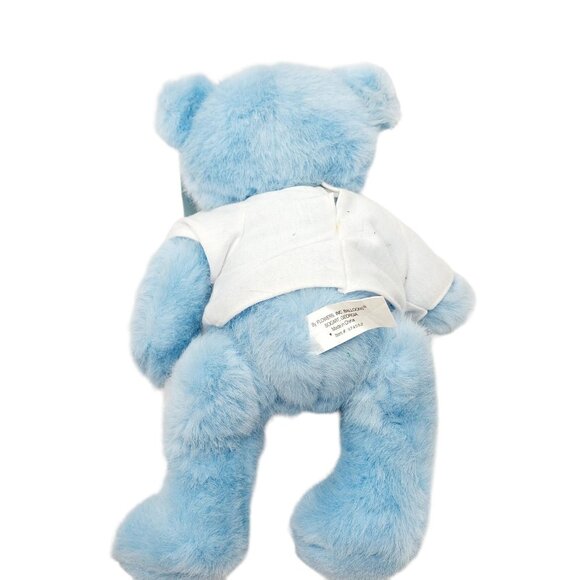 Flowers Inc Balloons Blue Teddy Bear Plush Stuffed Animal "It's a Boy" shirt 11" - Picture 6 of 8